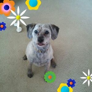 Meet your Posher, Martha